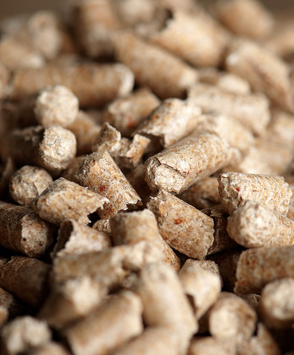 biomass wood pellets